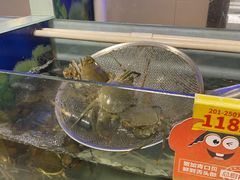 -七欣天香辣蟹火锅(万达广场店)