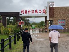 -御道口草原森林风景区