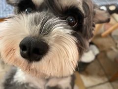 -零几体验diy皮具工作室(振业城店)