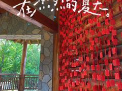 -青龙湖公园