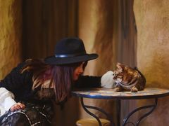 -猫猫幼稚园·撸猫·桌游·电玩