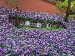 -嵖岈山风景区