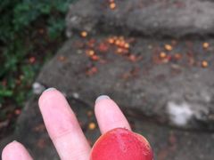 -蟠龙山长城景区