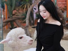-龙湖南京江北天街