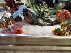 -339旋转餐厅(天府熊猫塔店)