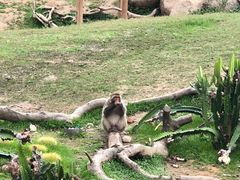-广州长隆野生动物世界
