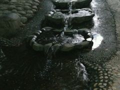 -成都市活水公园