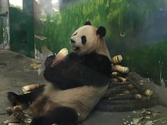 -无锡动物园·太湖欢乐园