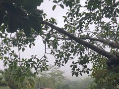 -呀诺达热带雨林