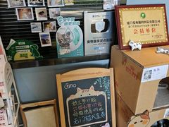-御宝贝·A梦猫科宠物医院(国际猫友好医院)