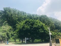 -南沙蒲洲花园