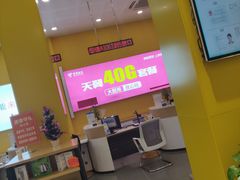 -中国电信(光谷创业街营业厅)