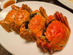 -Yan Ting 宴庭中餐厅(上海静安瑞吉酒店)