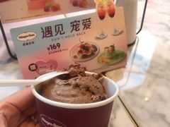 巧克力单球-哈根达斯(武汉天地店)