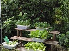 -二荆条·蜀鲜汇城市森林火锅