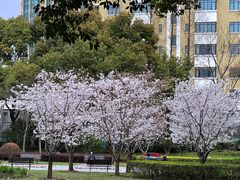 -徐家汇源景区-衡山公园