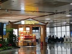 -长沙黄花国际机场-T1航站楼