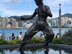 -星光大道