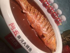 -阿五黄河大鲤鱼(英协路店)