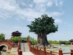 -东台西溪天仙缘景区