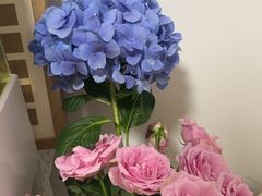 -潮汕•草根牛肉档(中江路店)
