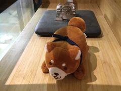 -柴务处·柴犬主题狗咖