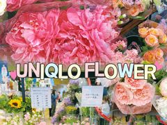 -优衣库(深圳万象天地旗舰店)