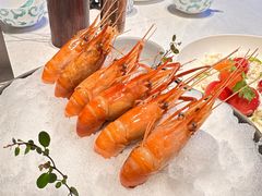 -桂满陇·海市蜃楼·黑金(国金店)