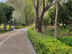 -荔香公园