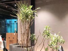 大堂-GOTLOT COFFEE&KITCHEN角落厨房NOOK店