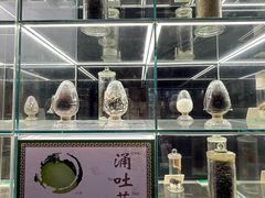 -广东中医药博物馆
