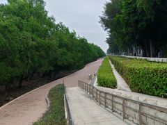 -宝安西湾红树林湿地公园