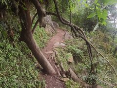 -西安祥峪森林公园