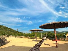 -杭州野生动物世界