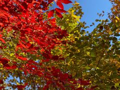 -长春市南湖公园