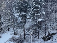 -秦岭终南山世界地质公园翠华山景区