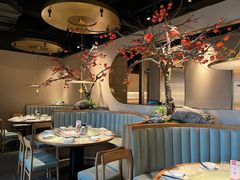 -佬肥猫(国华广场店)