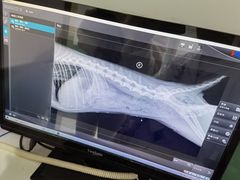 -欧奕国际动物医院