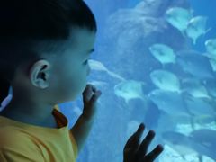 -福州罗源湾海洋世界旅游区