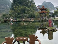 -靖西鹅泉风景区