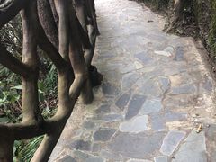 -修水东浒寨风景区