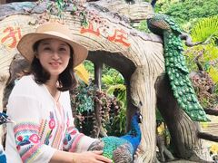 -西双版纳原始森林公园