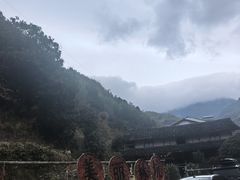 -林坑古村落