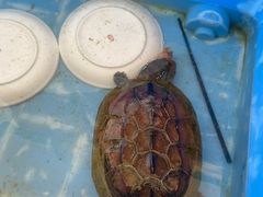 -人和居(丰葆路店)