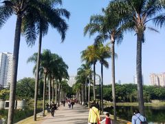 -南宁南湖公园