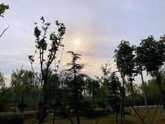 -洨河生态公园