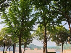 -黄河小浪底水利枢纽风景区