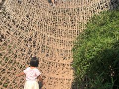 -呀路古热带植物园
