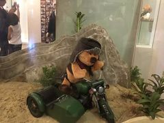 -济州岛泰迪熊博物馆