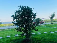 -七的湖·晚芳亭·阳澄湖农家菜·大闸蟹(莲花岛店)